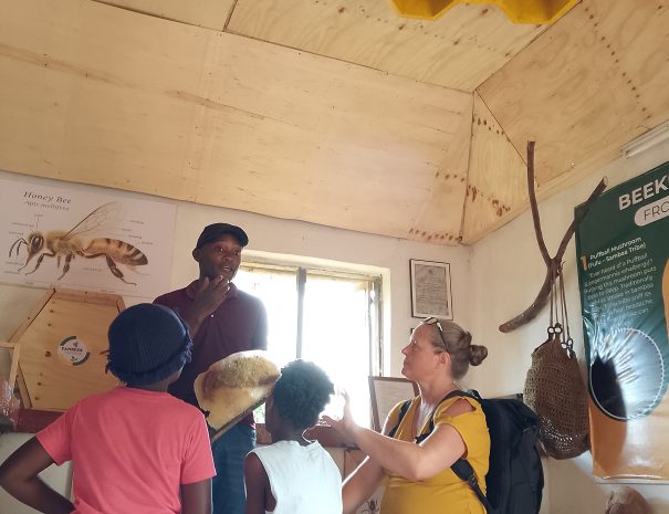 Apiculture museum in tanzania