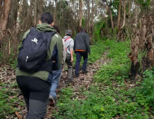 nature walking